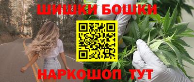 крисы Новозыбков