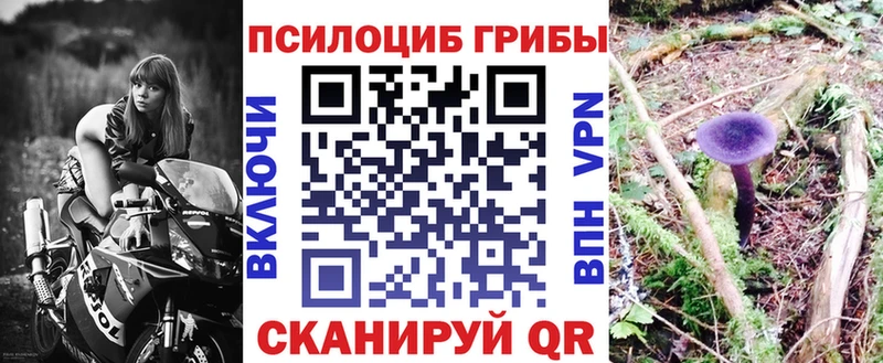 mega ссылки  наркота  Шуя  Галлюциногенные грибы GOLDEN TEACHER 
