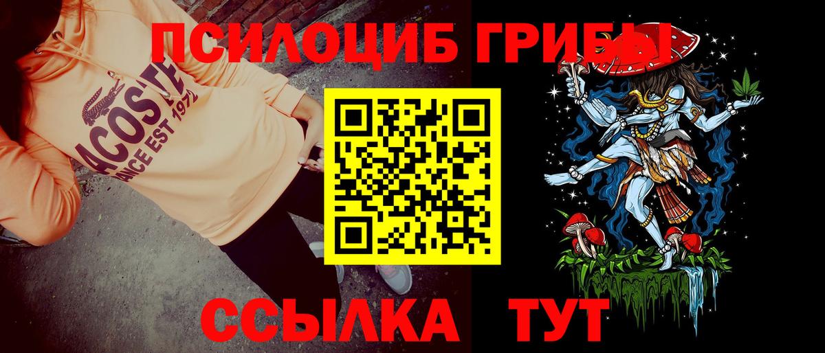 Галлюциногенные грибы Magic Shrooms Шуя